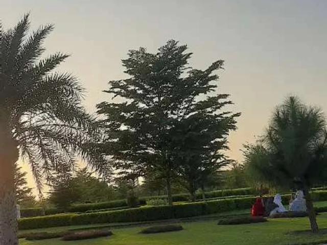 Land for sale in Islamabad