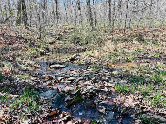 Land for sale in Ark
