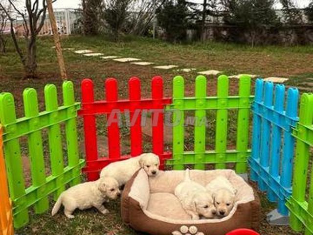 Propriété vente à El Ma, Gharb-Chrarda-Beni Hssen