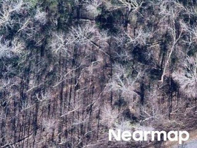 Land for sale in Lake Lure, North Carolina