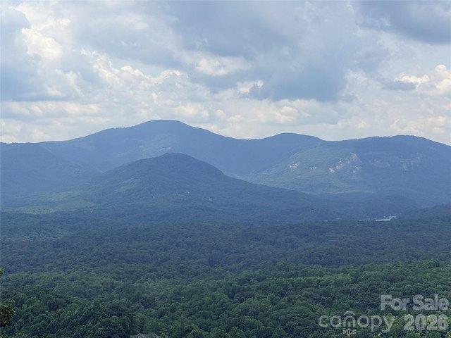 Land for sale in Rutherford, North Carolina