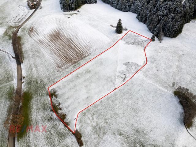 Grundstück kaufen in Hörbranz, Vorarlberg