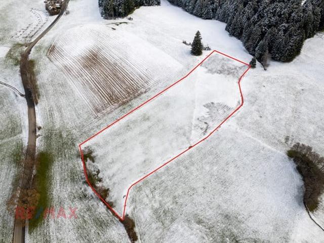 Grundstück kaufen in Hörbranz, Vorarlberg