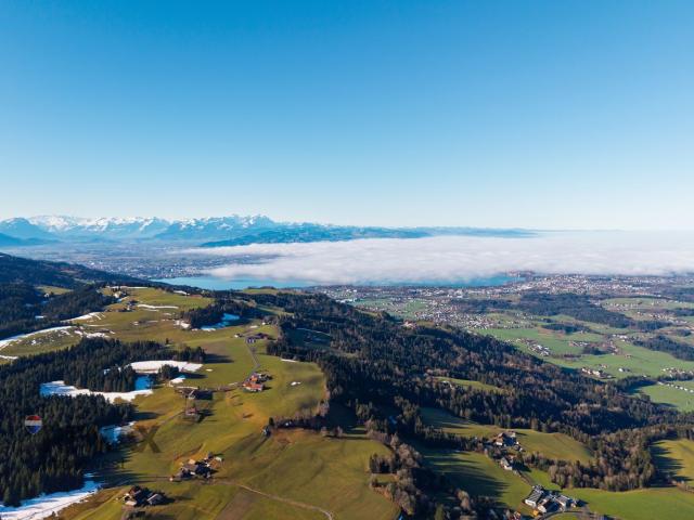 Grundstück kaufen in Möggers, Vorarlberg