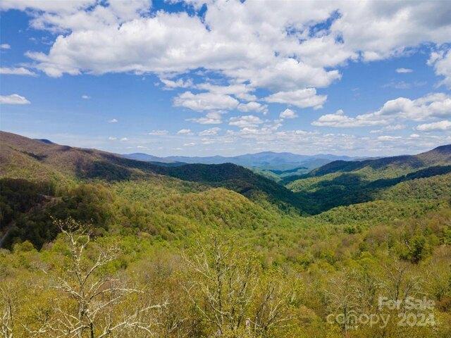 Land for sale in Yancey, North Carolina