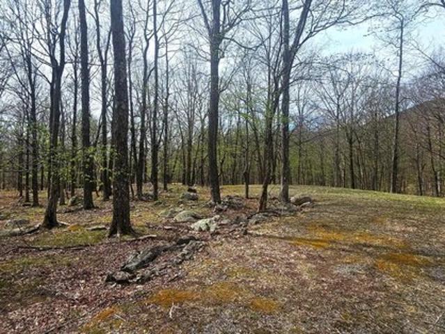 Land for sale in West Virginia