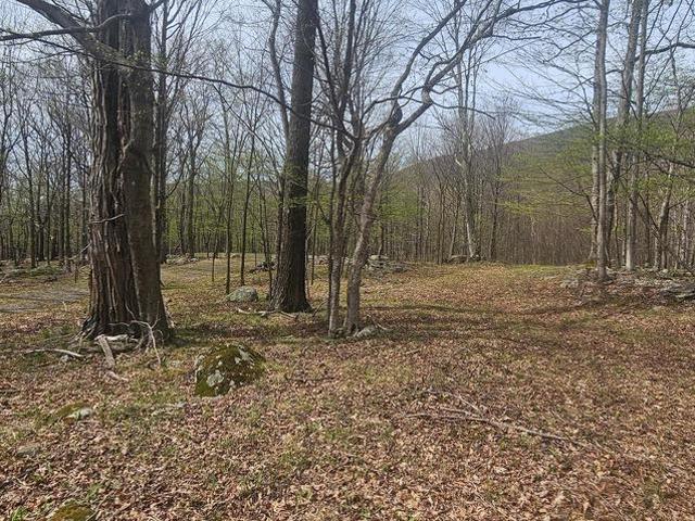 Land for sale in West Virginia
