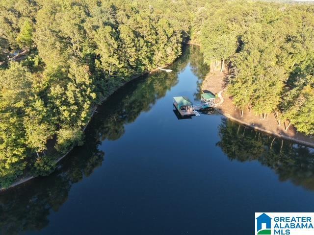 Land for sale in Wedowee, Randolph County