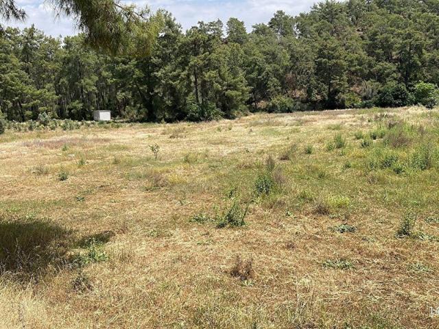Fethiye, Muğla içerisinde satılık Arsa