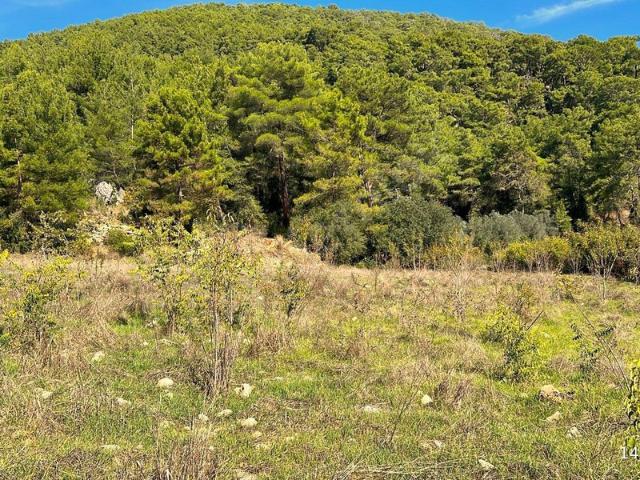 İncirköy, Fethiye içerisinde satılık Arsa