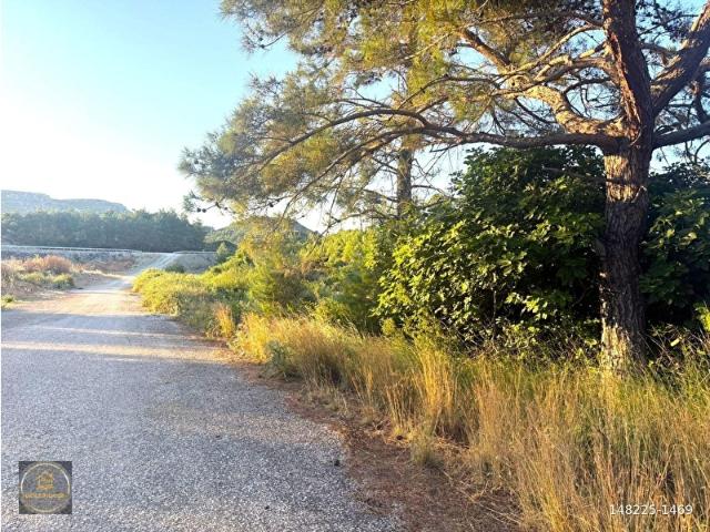 Muğla içerisinde satılık Arsa