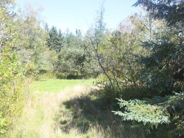 Land for sale in Perry, Washington County