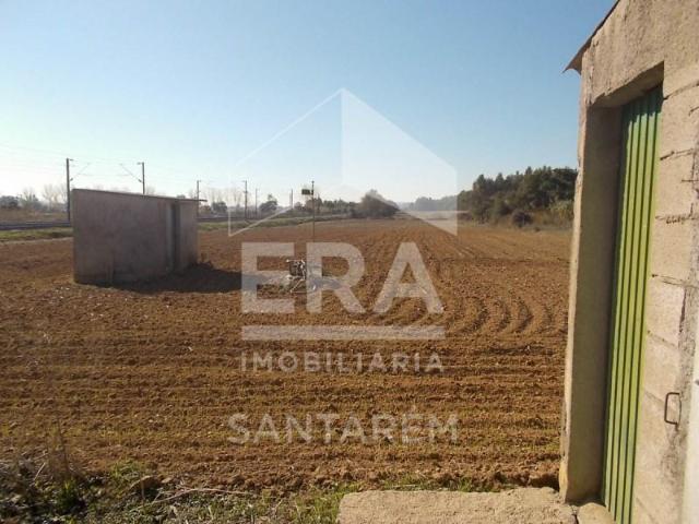 Terreno venda em Golegã, Santarém