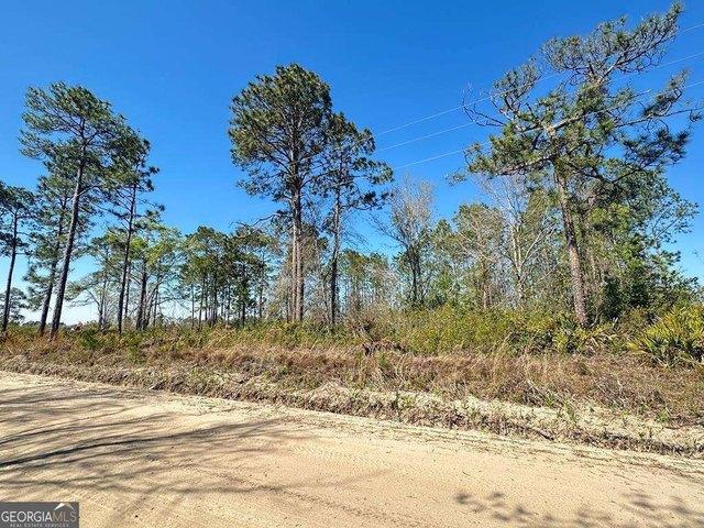 Land for sale in Baxley, Georgia