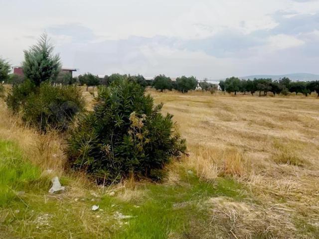 Sarıçalı, Akhisar içerisinde satılık mülk