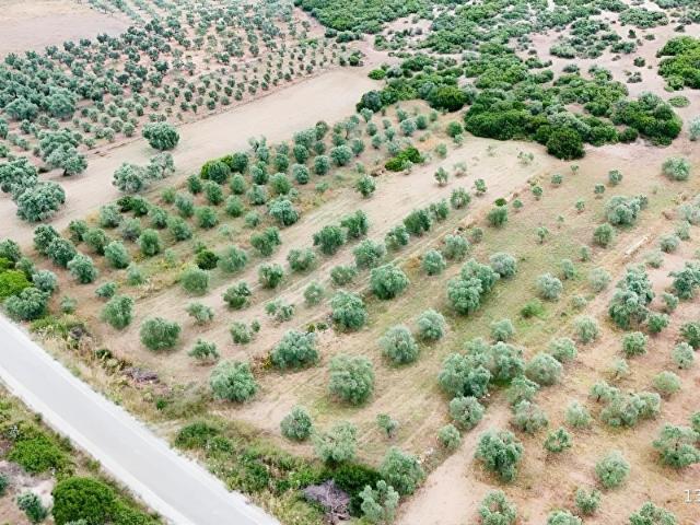 Menderes, İzmir içerisinde satılık Arsa