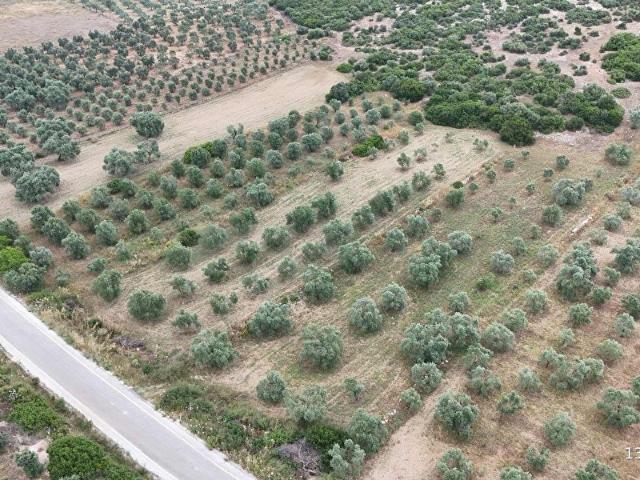 Menderes, İzmir içerisinde satılık Arsa