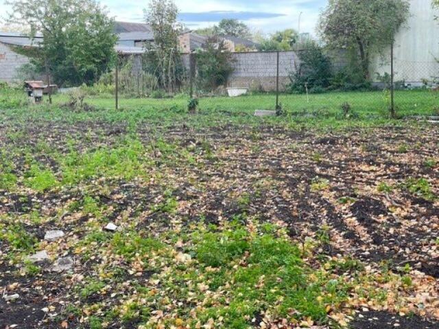 Grundstück kaufen in Gols, Burgenland