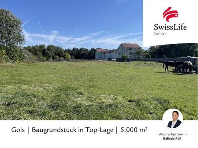 Grundstück kaufen in Gols, Burgenland