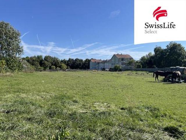 Grundstück kaufen in Gols, Burgenland