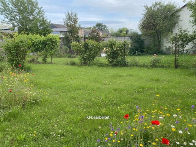 Grundstück mieten in Gols, Burgenland