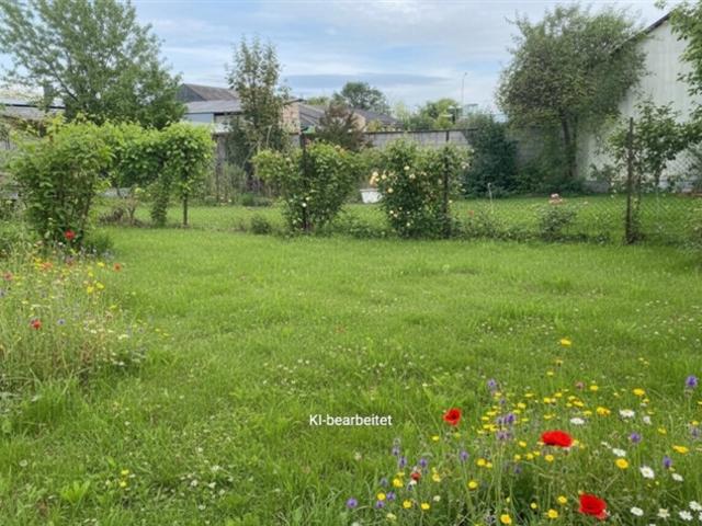 Grundstück kaufen in Gols, Burgenland