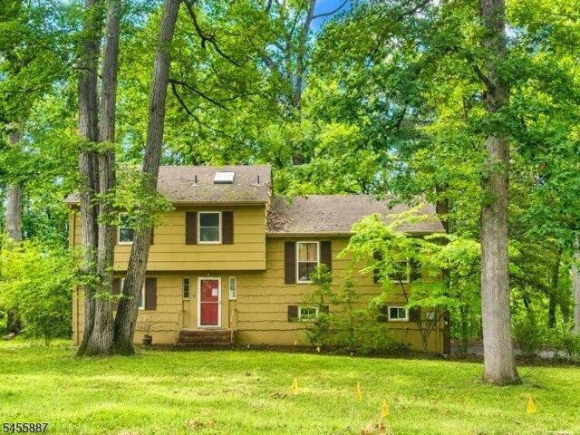 House for sale in Liberty Corner, Bernards Township