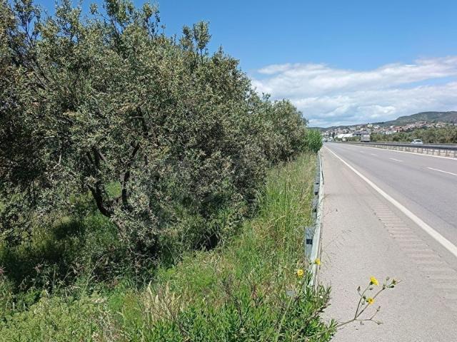 Gömeç, Balikesir içerisinde satılık mülk