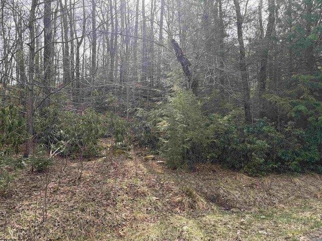 Land for sale in Davis, West Virginia
