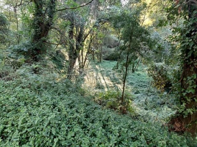 Terreno venda em Gondomar, Porto