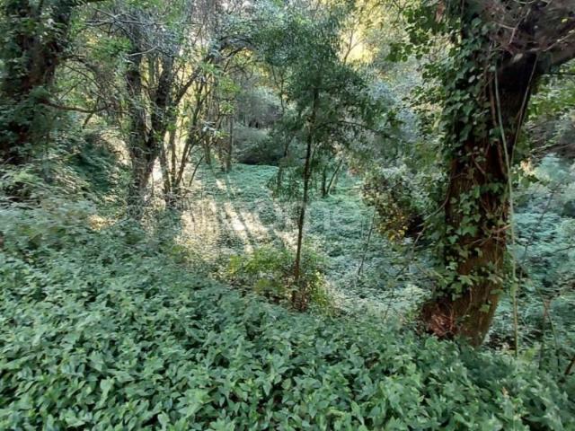 Terreno venda em Gondomar, Porto