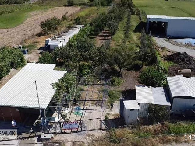 Koru Değirmen, Gönen içerisinde satılık mülk