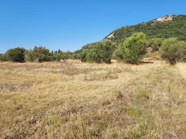 Terrain vente à Brignoles, Gonfaron