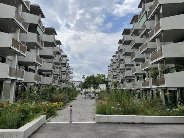 Immobilie mieten in Winterthur, Zürich