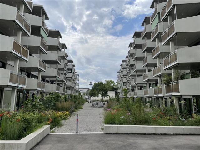 Wohnung mieten in Winterthur, Zürich