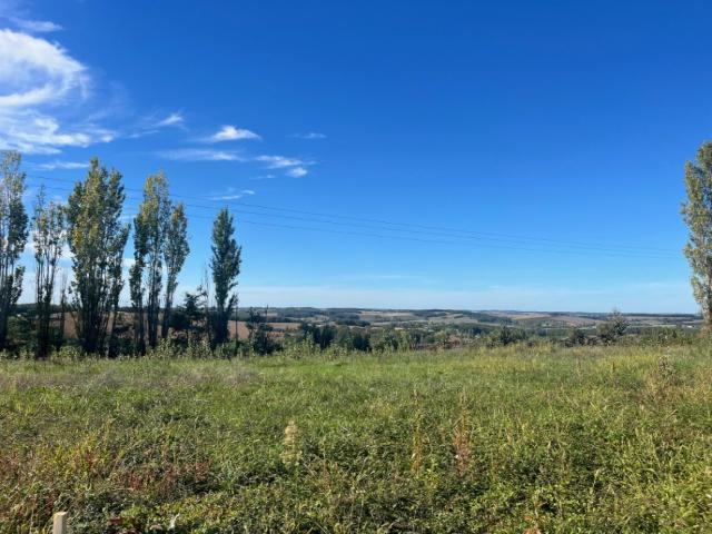 Terrain vente à France métropolitaine, Gontaud-de-nogaret
