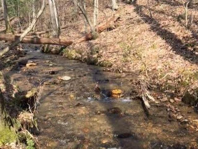 Land for sale in Suches, Georgia