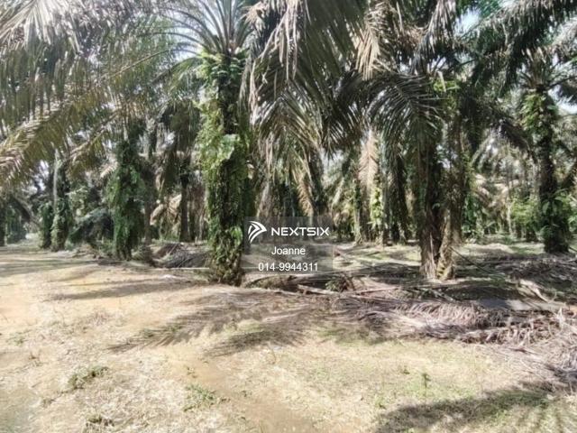 Residential House for sale in Johor