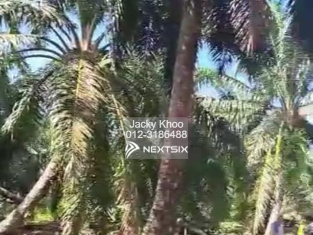Property for sale in Perak, Taiping