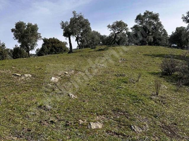Bayindir, İzmir içerisinde satılık mülk