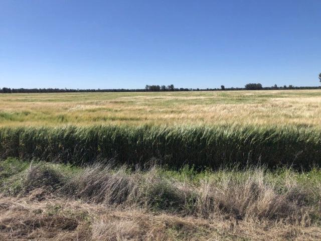 Acreage for sale in Goondiwindi, Queensland