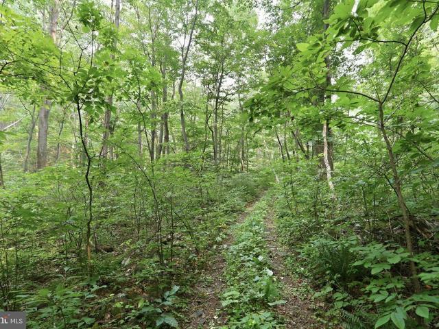 Land for sale in Virginia