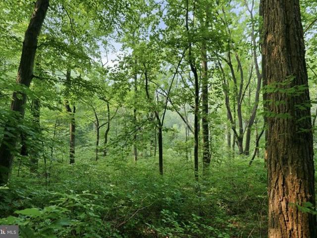 Land for sale in Virginia