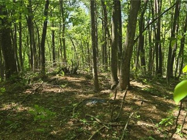 Land for sale in Virginia