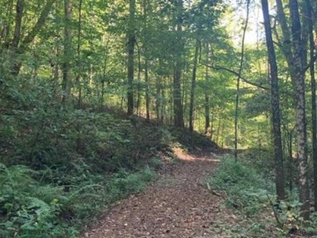Land for sale in Burkesville, Kentucky