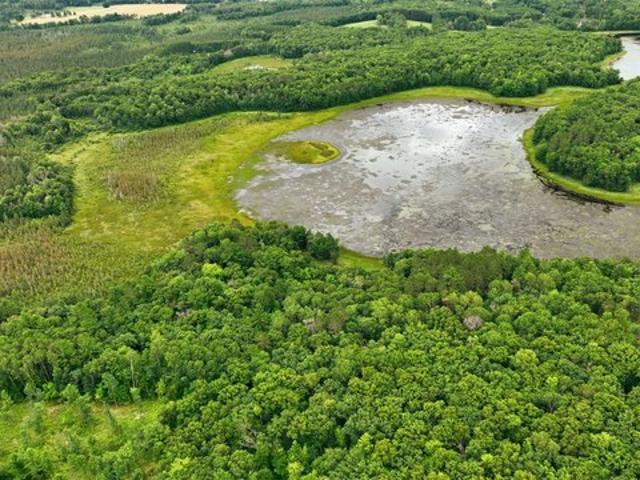 Land for sale in Spooner, Wisconsin