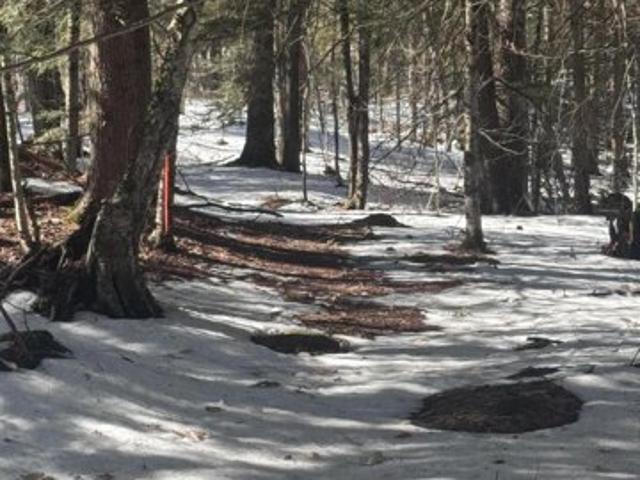 Land for sale in Cumberland Center, Maine