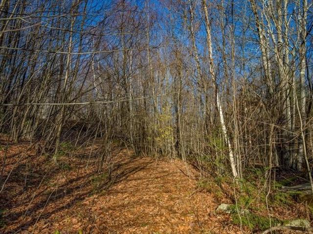 Land for sale in Berkshire, Massachusetts