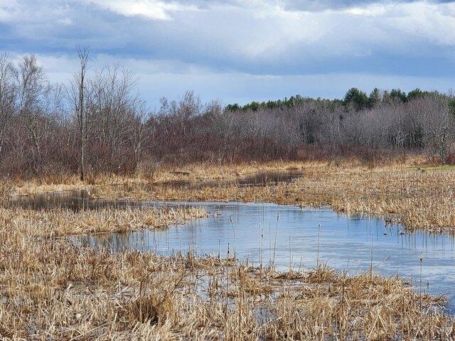 Land for sale in Waldo, Maine