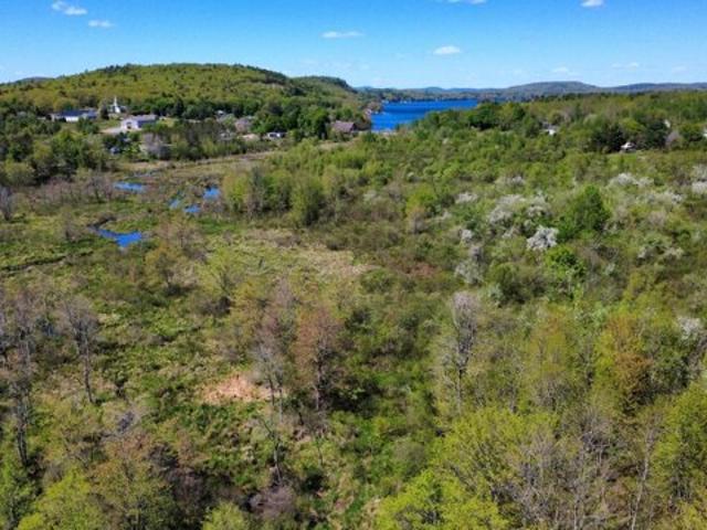 Land for sale in Waldo, Maine
